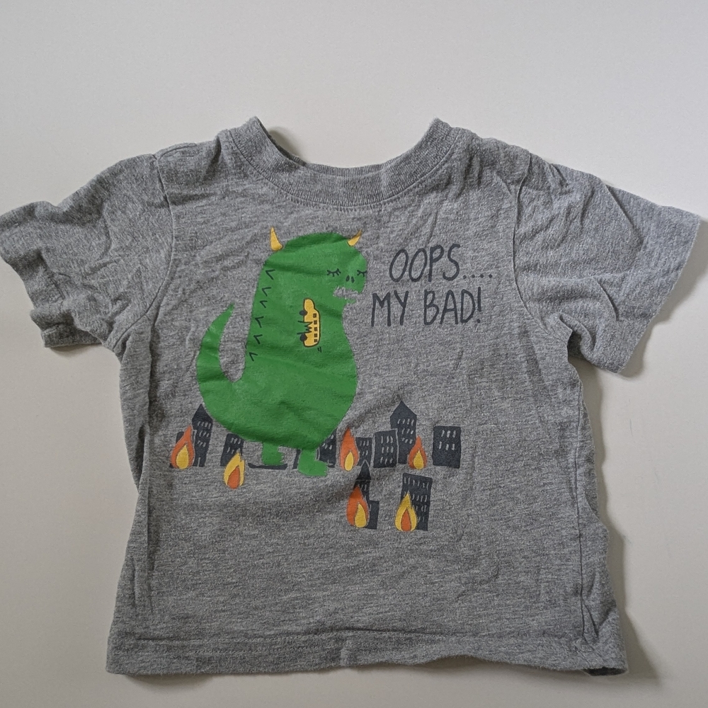 Gray Kids T-Shirt with Green Dinosaur Print